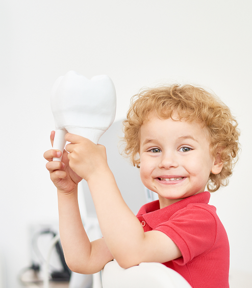 boy with toy tooth